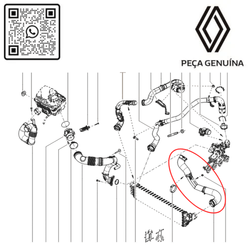 144605225R MANGUEIRA DE ENTRADA COLETOR DE ADMISSAO MASTER 2.3 16V M9T 2022 EM DIANTE RN 05225R -5-